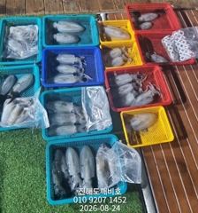 [진해] 팁런무늬오징어 오늘예약가능합니다
