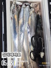 [텐빈]싸이즈는"굿" 마리수는 아쉬운,조황(화요일,출항)