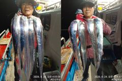 [통영만선피싱] 씨알 좋은 갈치~~ 29일 토요일부터 정상출조합니다 자리여유 예약가능!! 예약문의주세요^0^*