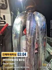 [진해] [갈치/텐빈/텐야]24일입항 오늘요만큼[화.수.목.금]예약가능