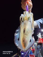 [통영] 팁런) 낚시도즐기고 이벤트도 당첨되자~