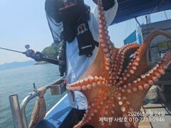 "돌문어" 1000g외 덩치들 133수이상 17수15수14수13수13수등 쭉~전원손맛 (예약가능)
