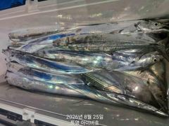 아이비호/내일 수 자리텅텅여유!!빵빵4지대갈치들!!멋진손맛!!수목금토일 긴급출동하세요~