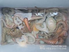 "돌문어" 1000g외 덩치들 133수이상 17수15수14수13수13수등 쭉~전원손맛 조황(예약가능)