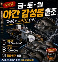 26일(수)마릿수감성돔출조합니다