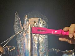[진해] 내만갈치 씨알 마릿수 좋아요~~~예약가능