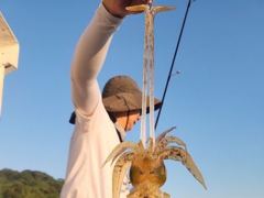 [통영] [무늬] 25일... 마릿수 이어집니다. 26일 예약중