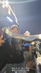 1   [통영] 갈치(텐야) 5지4지 3지 대치들 난리~복수전 성공~고고피싱(2… 1
