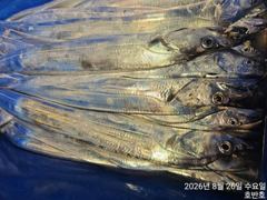 {통영호반호} 26일 철수조황임니다 ~금욜부터 여유~