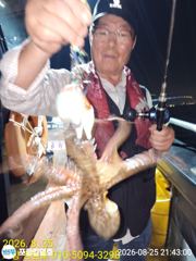 [포항] 포항 돌문어 슬슬올라 옵니다.목.금.토 예약중