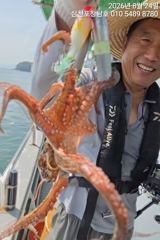 [사천] 문어 내일오전10시출조확정 자리여유