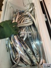 내만갈치)갈치가 요기 다있었구나?!포획성공~예약중