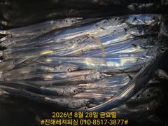 내만칼치ㅡ엄청 올라옵니다,밤새도록 피딩에 쿨러가득(토.일. 예약가능)