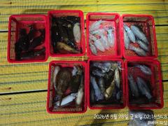 27일 팁런 조황 개인최대17수