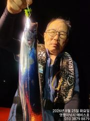 은빛 대 갈치들 씨알급 일요일 부터 가능