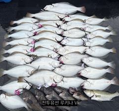 << 팀 인천 루키나 >> 08. 28. 7물 << 루키나 V 생새우 외수질 다잡아 이벤트 >>