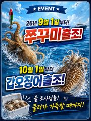 9월1일부터!쭈꾸미출조합니다! 만쿨만쿨!