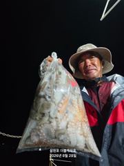 [먹물조황] 삼천포 문어조황! 주간반, 야간반 매일출조!