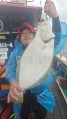 실시간 조황 - 29일,오늘도 굿굿 대광어 참 무쟈게 나오네요. 웬 광어가 이리도 나오는지~실시간~내일도 갑니다~ 군산 범고래호