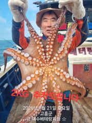 [여수,광양] 돌문어 출조 모집중 수요일(2일)~7일(월) 쭈꾸미전투 출…
