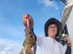 [통영] [무늬] 30일.. 좋은 조황을 보입니다. 월. 화 예약중