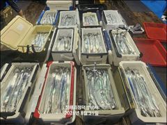 [31일입항] "준내만갈치" 3지4지 대치들로 쿨러 묵직하게 담았네요!! [예약가능] 010-7660-2435