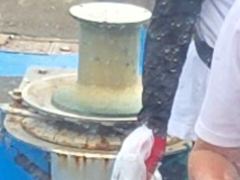 황금손은 사리물때도 필요없다