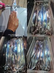 [진해] 준내만 갈치 왕씨알 대치들 다시 시작되고~~(화욜 예약 가능,…