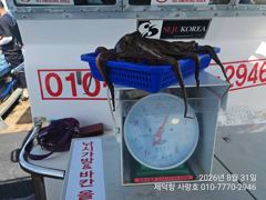 [진해] "여밭돌문어" 1000g1000g1000g900g외 키로들과 …