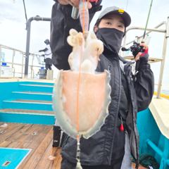 9월 1일 신진도 어해루호 쭈꾸미조황