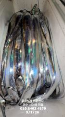 출조안내 - 여수 투에스호) 쭈꾸미/갑오징어 출조합니다!! 문의 010.4066.3777