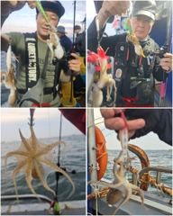 출조안내 - 5(토) 문어 6(일) 쭈꾸미 "출조확정" 예약중입니다^^