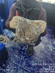생활낚시조황 - 9/3 쭈꾸미 조황 - 무창포 테티스호,배낚시,바다낚시.선상낚시.생활낚시.전문