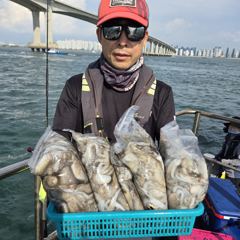 조황정보 - 인천 [마린스타 1호 & 3호] 9월 2일(수) 장원 318마리!!!! [쭈꾸미] 조황!!! - 인천 만석부두 마린스타호