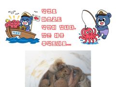 3시간전 [군산] 3일 주간 홈런호 쭈꾸미 18명 마루리 조황