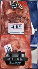 < 무 창 포 베 테 랑 피 싱 >[ 가 디 언 호 ] 9월 3일 쭈/갑 조황!! 살아납니다!! 어제보다 더 잘나와주네요!!