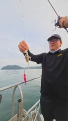 [여수,광양] 9월 3일 장원 새자리수 오버 쭈꾸미 조황임다!