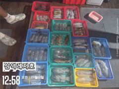 [팁런] 기본100수는 깔고 갑니다,(월요일부터출항)