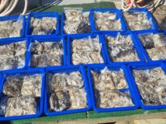 ♡쭈.갑♡ 9월 4일 굿~! 조황~!^^