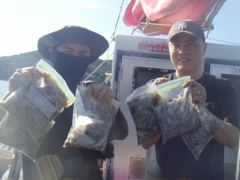 9월4일조황