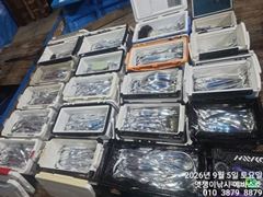 내만갈치~제법들 큰놈 많이 잡고 왔습니다~오늘부터 예약가능합니다