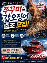 ■9/5《쭈꾸미 조황~~~》9월7일 《쭈&갑》출조 나갑니다