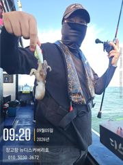 9월5일 쭈꾸미 조황입니다.