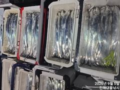 와~,내만칼치 3지까지 어마어마 퍼담고 많타먾아 타작하고~일,월,화욜예약가능