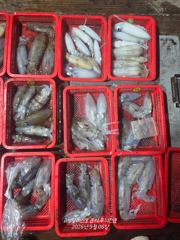 바람통 무늬 140수