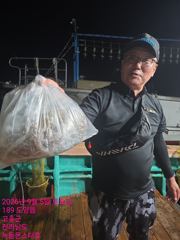 출조안내 - (건담호)6일 갑오징어 피딩^^ 월요일 자리여유