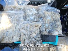 오늘의조황 - [홍원항타이탄호] 9월4일(금) 쭈꾸미 낚시 4일차 조황!! - 홍원항 타이탄호