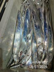 7일새벽 용가리급 내만갈치 진짜 크긴 크네요~!! 화.수.목~예약중
