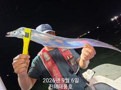 6일 입항 내만갈치 담배갑 사이즈까지 엄청 잡았습니다. 월요일부터 예약가능.
