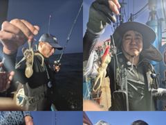 크라운호 쭈꾸미 실시간조황(7일)